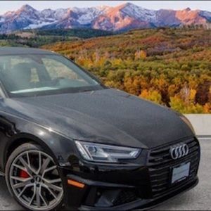 Meet your Posher, Billy